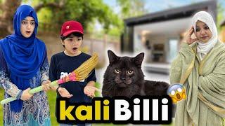 Kali Billi Ne Bachon Ke Sath Kia Kiya |  Motivational Video | Rida Naqqash