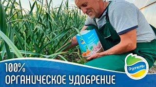 Органическая подкормка растений // Ботанический сад МГУ