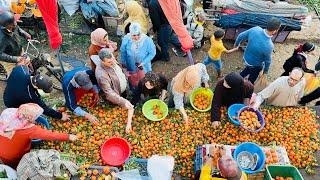 Traditional Moroccan Farmers Market and BEAUTIFUL Sunset above the ATLANTIC OCEAN