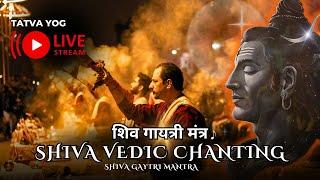  LIVE   SHIV GAYATRI MANTRA | VEDIC CHANTING | MAHAKUMBH SPECIAL 2025