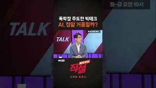 [직설] 폭락장 주도한 빅테크 AI, 정말 거품일까?