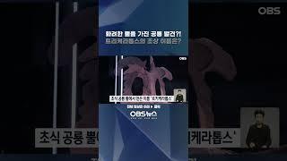 화려한 뿔을 가진 공룡 발견?!... 트리케라톱스의 조상인 이것의 이름은? #공룡 #트리케라톱스 #조상
