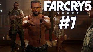 Far cry 5 (Фар Край 5) Регион Датча. Остров датча. прохождение. Стрим PS4 pro live