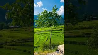 Leepa valley #travel #swissnature #nature #switzerlandalps #love #switzerlands #leepavalley