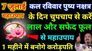 7 जुलाई रविवार पुष्य नक्षत्र के दिन 1 लाल फूल और सफेद फूल से उपाय जरूर करें - Pradeep mishra