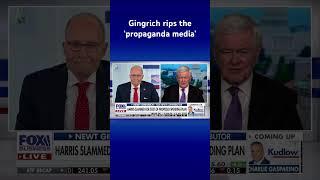 If you vote for Kamala, you are voting for a ‘depression’: Gingrich #shorts