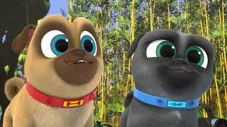 Bingo and Rolly Meet a Panda     Puppy Dog Pals   Disney Junior