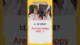 하루 한 패턴 #영어회화 #유용한영어표현 #영어 패턴