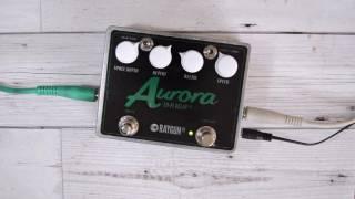 RAYGUN FX - Aurora Lofi Delay V2