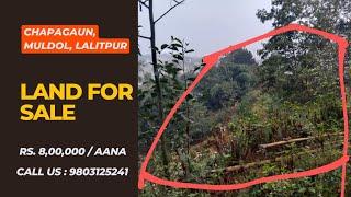 6 Ropani 7 Aana Land for Sale in Chapagaun, Muldol, Lalitpur