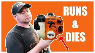 STIHL FS55 Weed Whacker Has No Spark! Step By Step Repair With Donyboy73