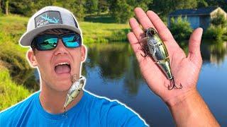 The BEST TOPWATER BAIT EVER INVENTED (You NEED This)