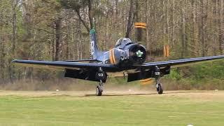 Skyraider Lands on our grass runway | Military Aviation Museum