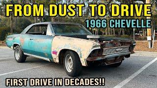 From Dust to Drive: 1966 Chevrolet Chevelle- First Drive in Decades!