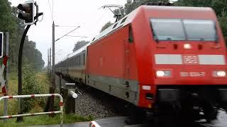 Zugsichtungen am Bahnübergang Schwarzer Dorn ( Itzehoe Marschbahn )