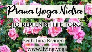 18 min Prana Yoga Nidra: Life Force