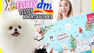 WERBUNG vs REALITÄT - Eure DM Neuheiten NOVEMBER 2021 und WELPE Fluffy öffnet neuen Adventskalender