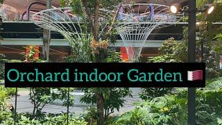 Walkthrough |Hamad International Airport Qatar |Orchard indoor Garden 