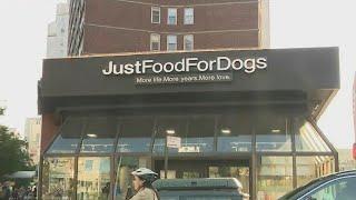 Cafe for dogs opens in NYC