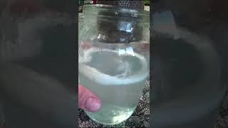 Делаю живую и мертвую воду