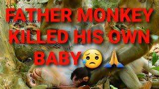 Father Monkey Killed His Owned Baby | BABY MONKEY (R.I.P)