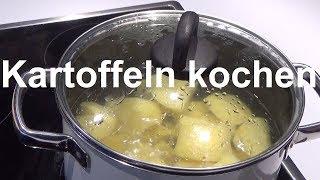 Wie lange müssen Kartoffeln kochen Kartoffeln richtig kochen Kochdauer Kartoffeln Kartoffel