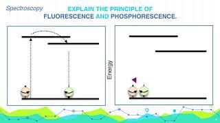 Explain the principle of  Fluorescence and Phosphorescence. | Analytical Chemistry