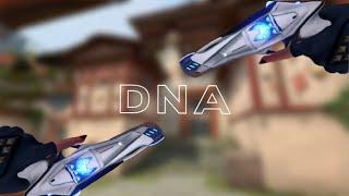 DNA 