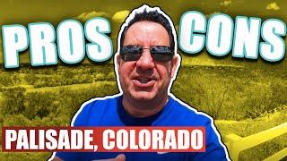 PROS and CONS of Living in Palisade Colorado! (just East of Grand Junction Colorado)