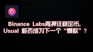 Binance Labs 再押注稳定币，Usual 能否成为下一个“爆款”？