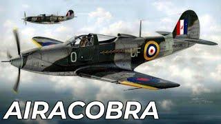 P-39 - "Iron Dog" or "Deadly Kobra"?