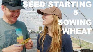 Seed Starting, DIY Soil Block Trays, & Sowing Wheat