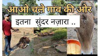 गांव का इतना सुंदर नज़ारा कभी नहीं देखा होगा ?#village #viralvideo