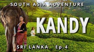 Ep. 4, Sri Lanka’s Tea Hills, Ancient Temples, & Coastal Retreat | Ultimate Adventure