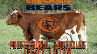 The Chicago Bears: Professional Football's Legacy Lolcow