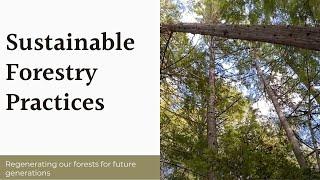 Sustainable Forestry Practices at the Ashram