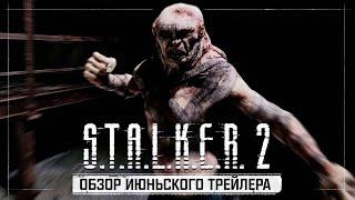 Разбор трейлера S.T.A.L.K.E.R. 2: Сердце Чернобыля c презентации Xbox Games Showcase 2024