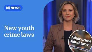 Queensland's new proposed youth crime laws explained | ABC News