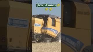 #youtubeshorts #farming #hasat #hasatzamanı #tarım #öneçıkar #fyp