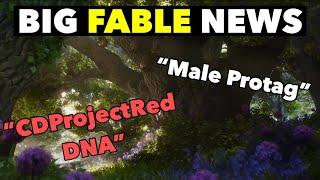 Some Big Fable News (Character Customisation & Combat)