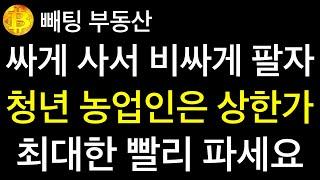 부동산 싸게 사서 비싸게 팔자  청년 농업인은 상한가니까 최대한 빨리 파세요  그리고 13일까지 빨리 신청하세요