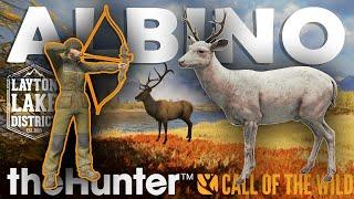 My FIRST ALBINO BLACKTAIL in 6 YEARS!!! - Call of the Wild