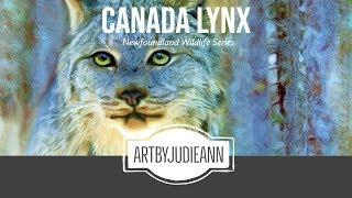 Canada Lynx Painting ~ ArtByJudieAnn