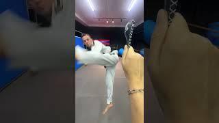 top 8 Taekwondo Kicks!