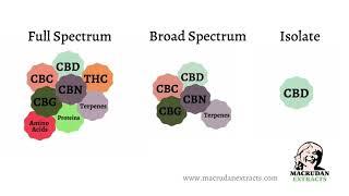 Episode 4: Full Spectrum vs. Broad Spectrum and Isolates