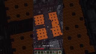 I got full Netherite Armor in 35 seconds┃#shorts #worldrecord #minecraft