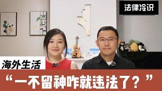 听了后悔不听更后悔|贼实用|保平安|海外华人经常会误踩的法律大坑|邻居总投诉怎么办？|不合理费用可以不交吗？|帮忙收个快递怎么就入狱了？