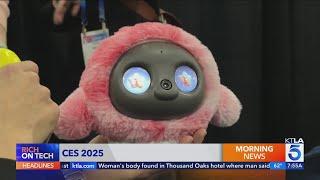 Fun Tech at CES 2025