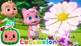 Big and Small | NEW 🪷 CoComelon Animal Time | Animals for Kids