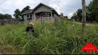 We Cut One Of The Cities MOST DREADED Jobs And Encountered A Snake (huge transformation)